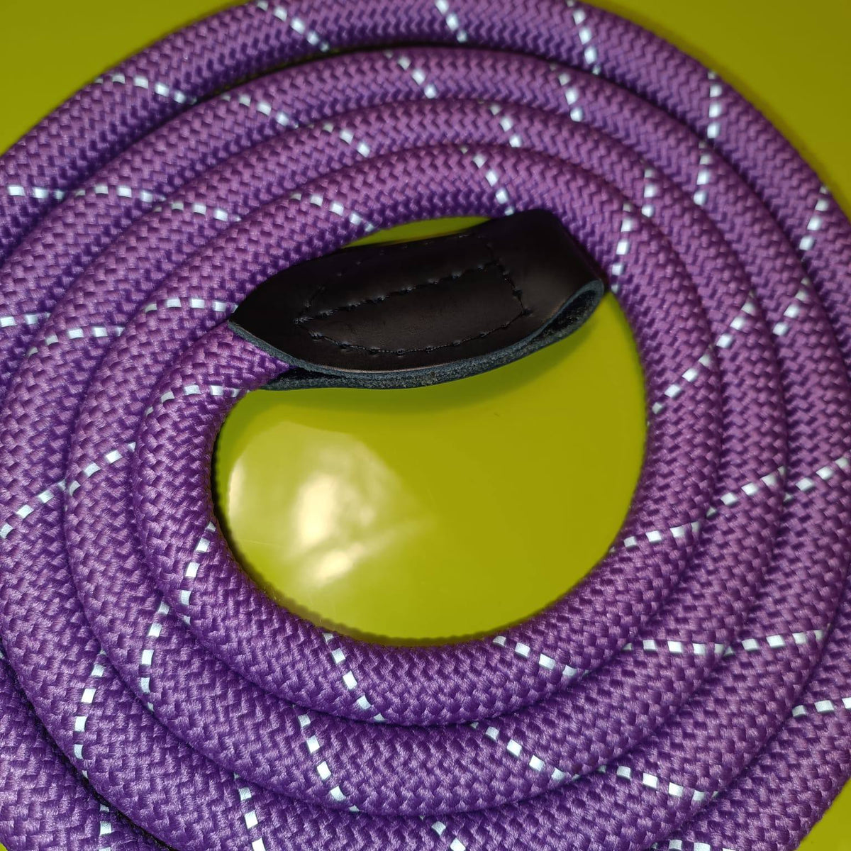 Dogogo Rope Dog Leash 2m – Purple