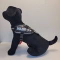 Julius-K9 IDC Powerharness Baby 1 – Camo Glowing in Dark