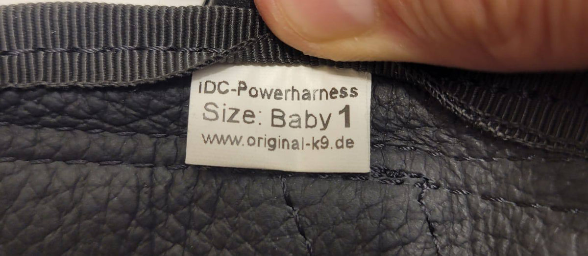 Julius-K9 IDC Powerharness – Blue, Size Baby 2