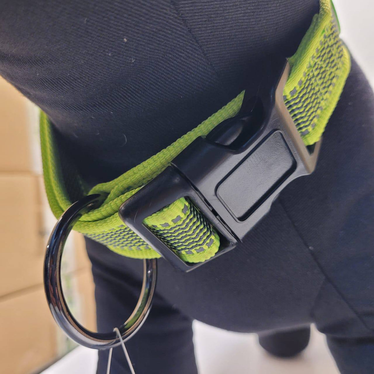 Dogogo Reflective Dog Collar – Neon Green, 50-65cm