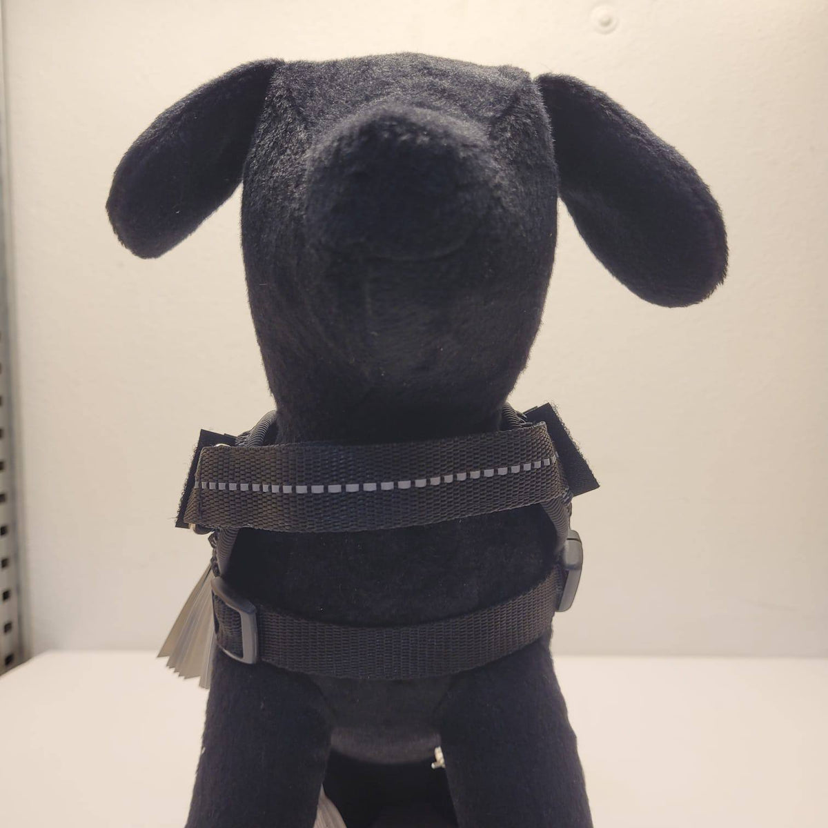 Julius-K9 IDC Powerharness – Blue, Size Baby 2