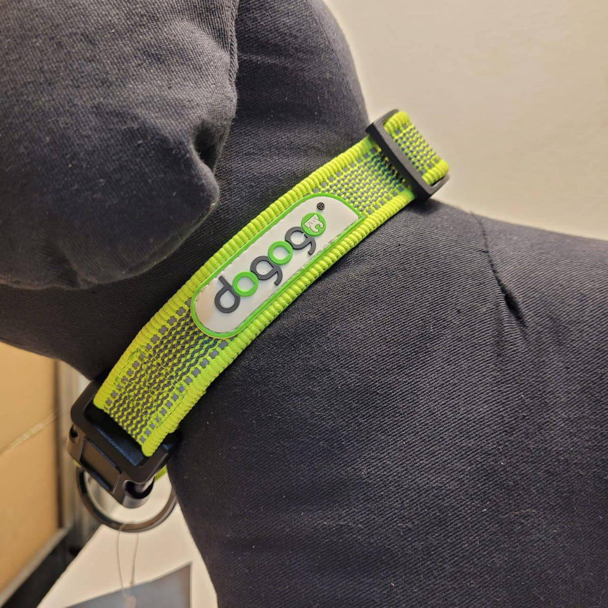 Dogogo Reflective Dog Collar – Neon Green, 50-65cm