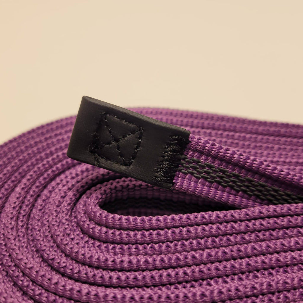 Dogogo Reflective Dog Leash 10m – Purple