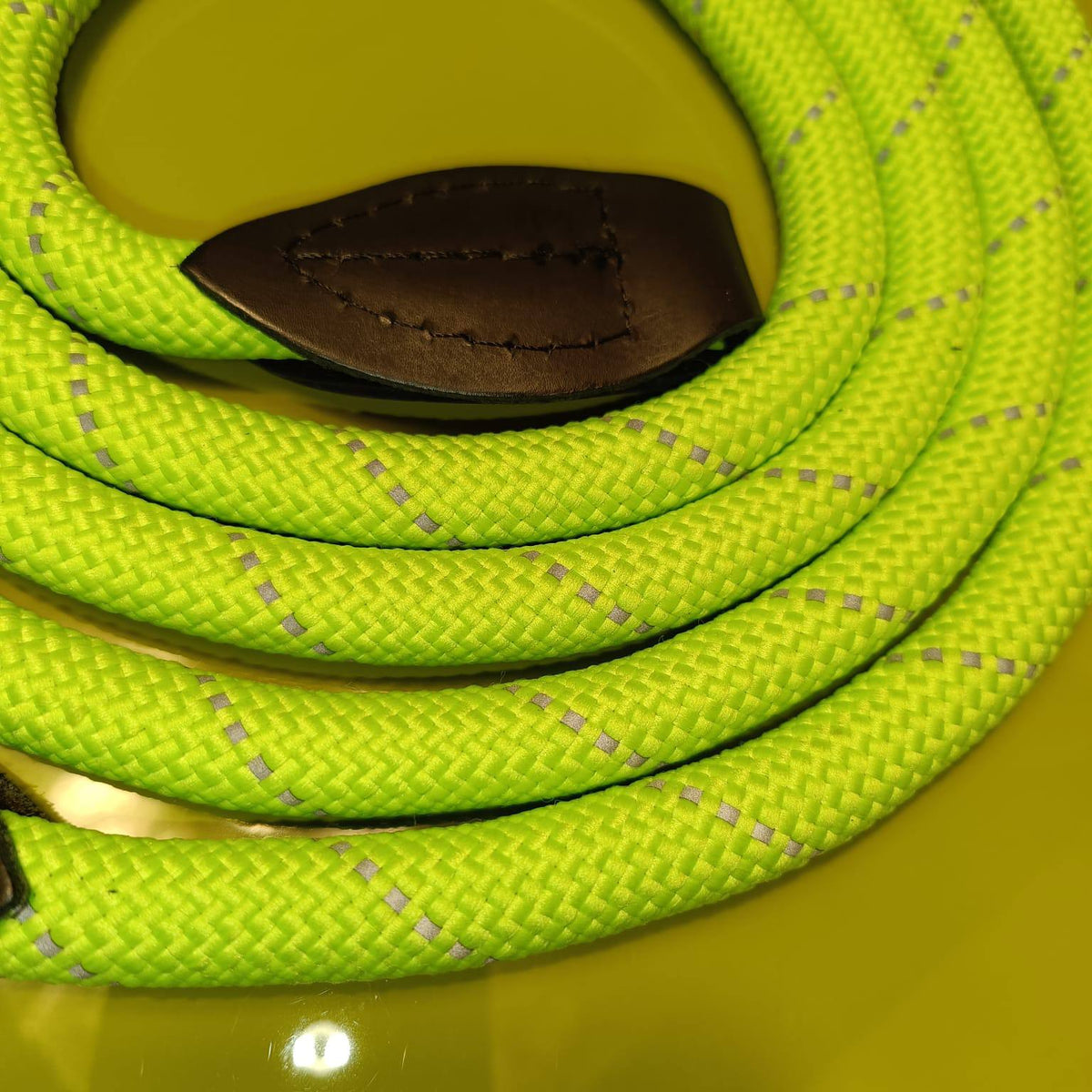 Dogogo Rope Dog Leash 2m – Lime Green