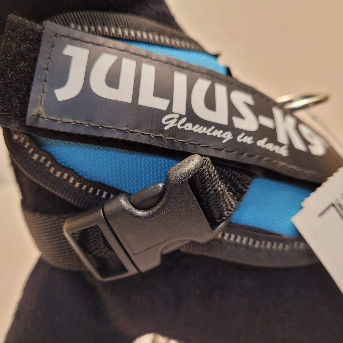 Julius-K9 IDC Powerharness – Blue, Size Baby 2