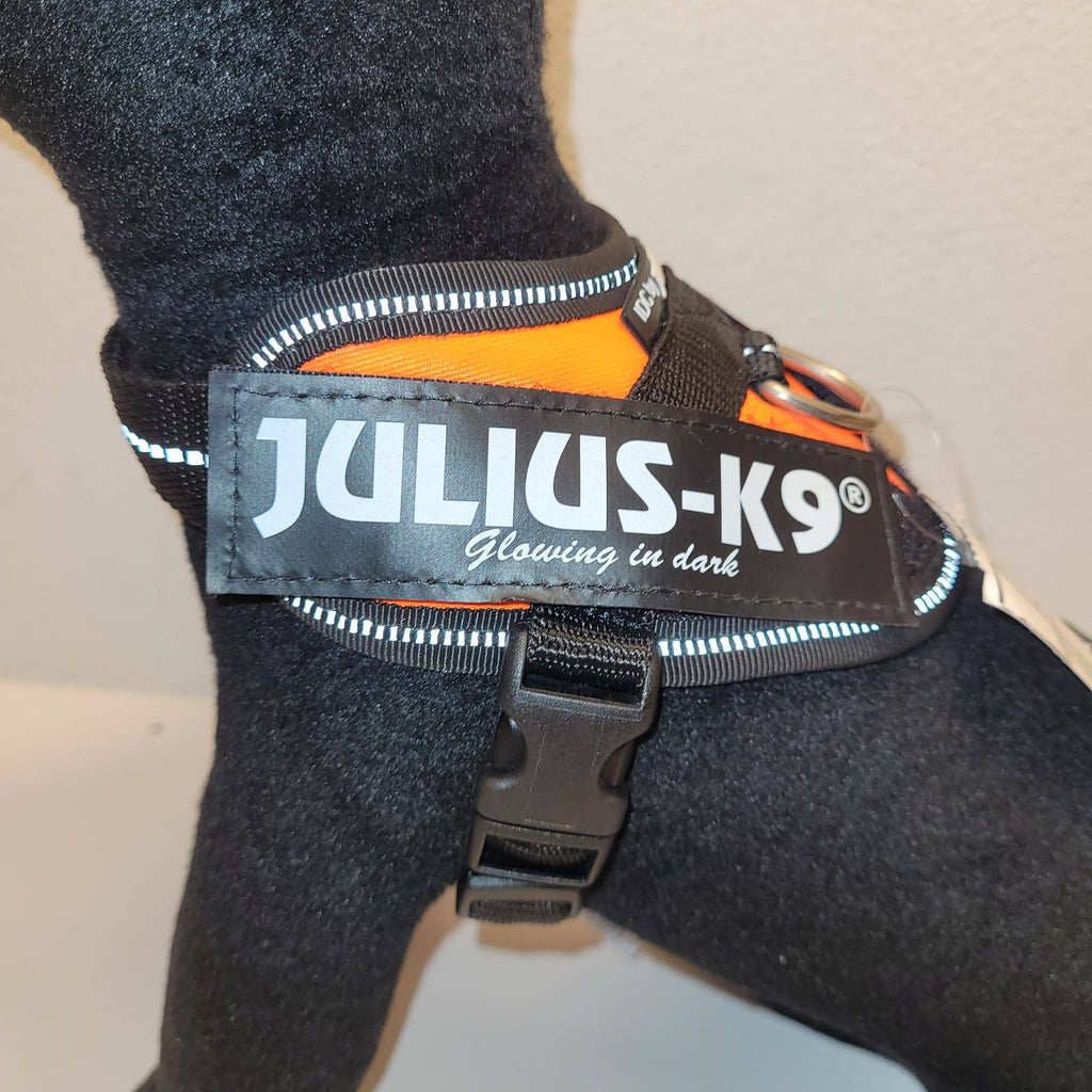 Julius-K9 IDC Powerharness Baby 1 – Orange Glowing in Dark