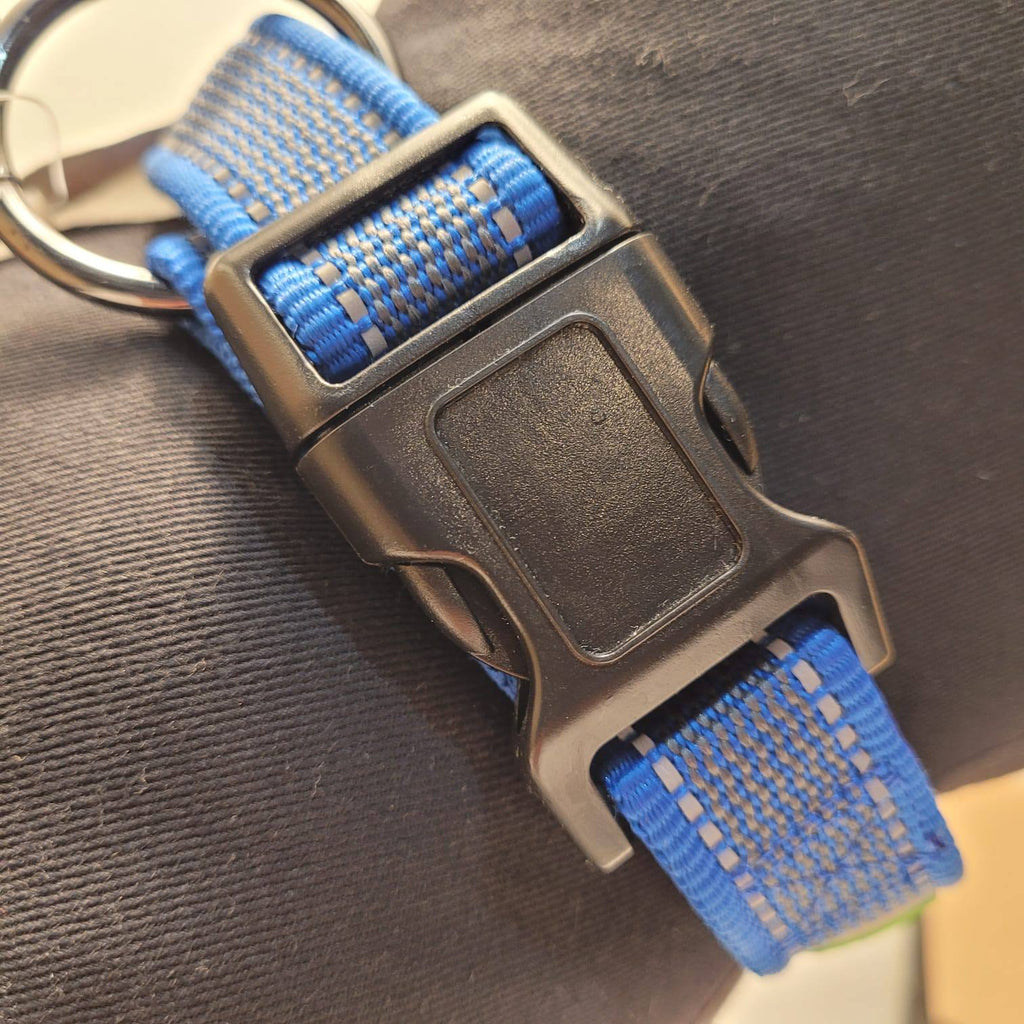 Dogogo Padded Dog Collar – Blue, 50-65cm