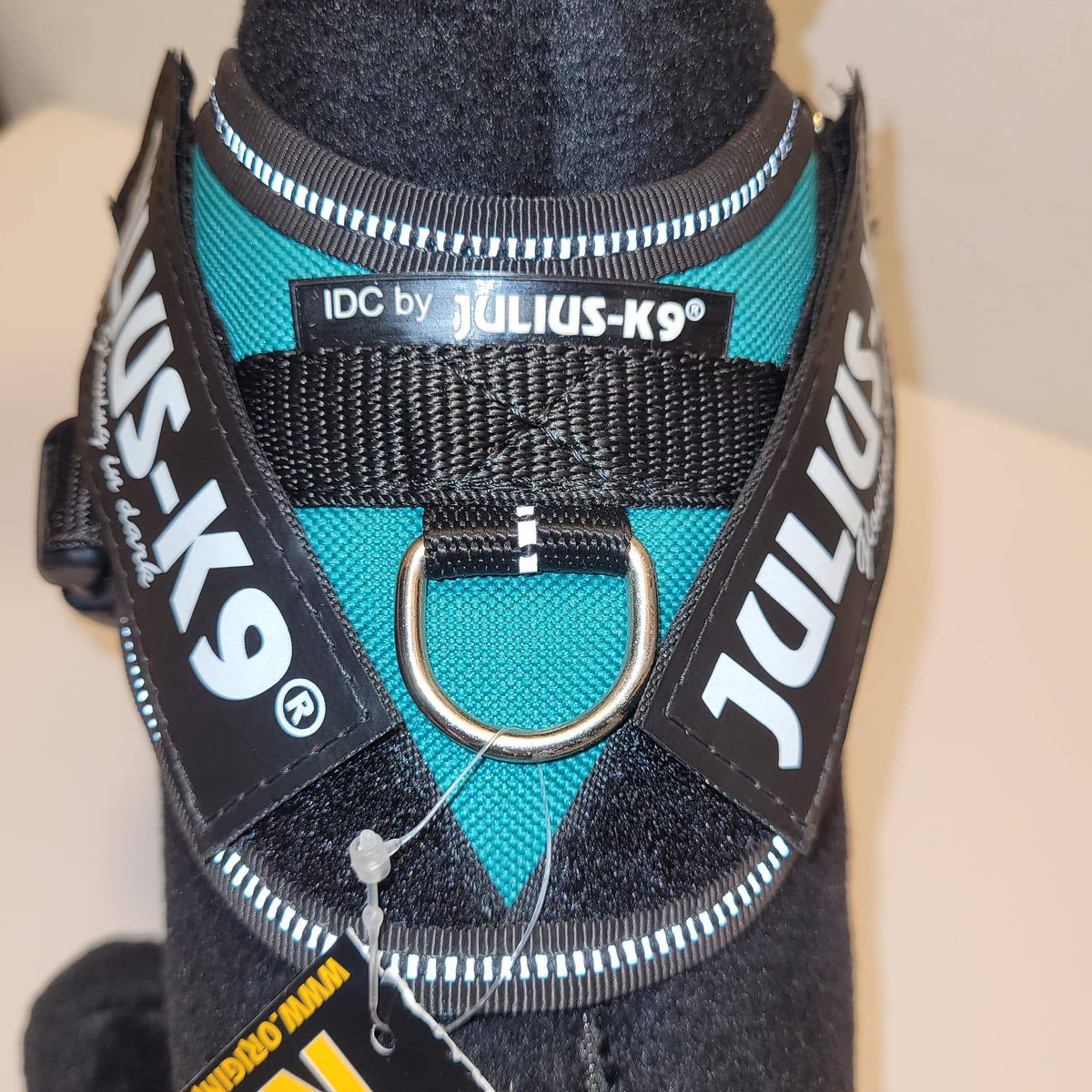 Julius-K9 IDC Powerharness Baby 1 – Teal Glowing in Dark