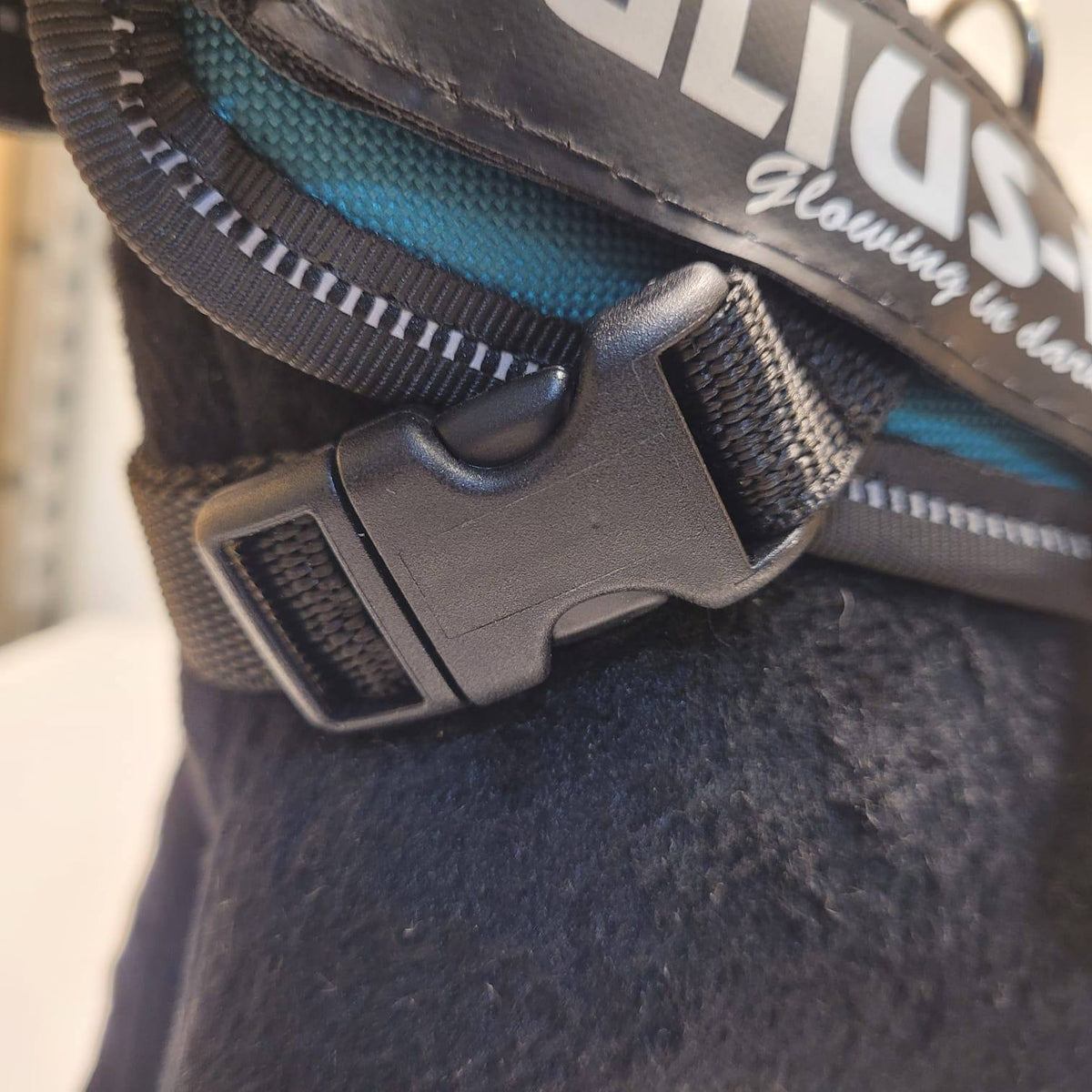 Julius-K9 IDC Powerharness – Teal, Size Baby 1