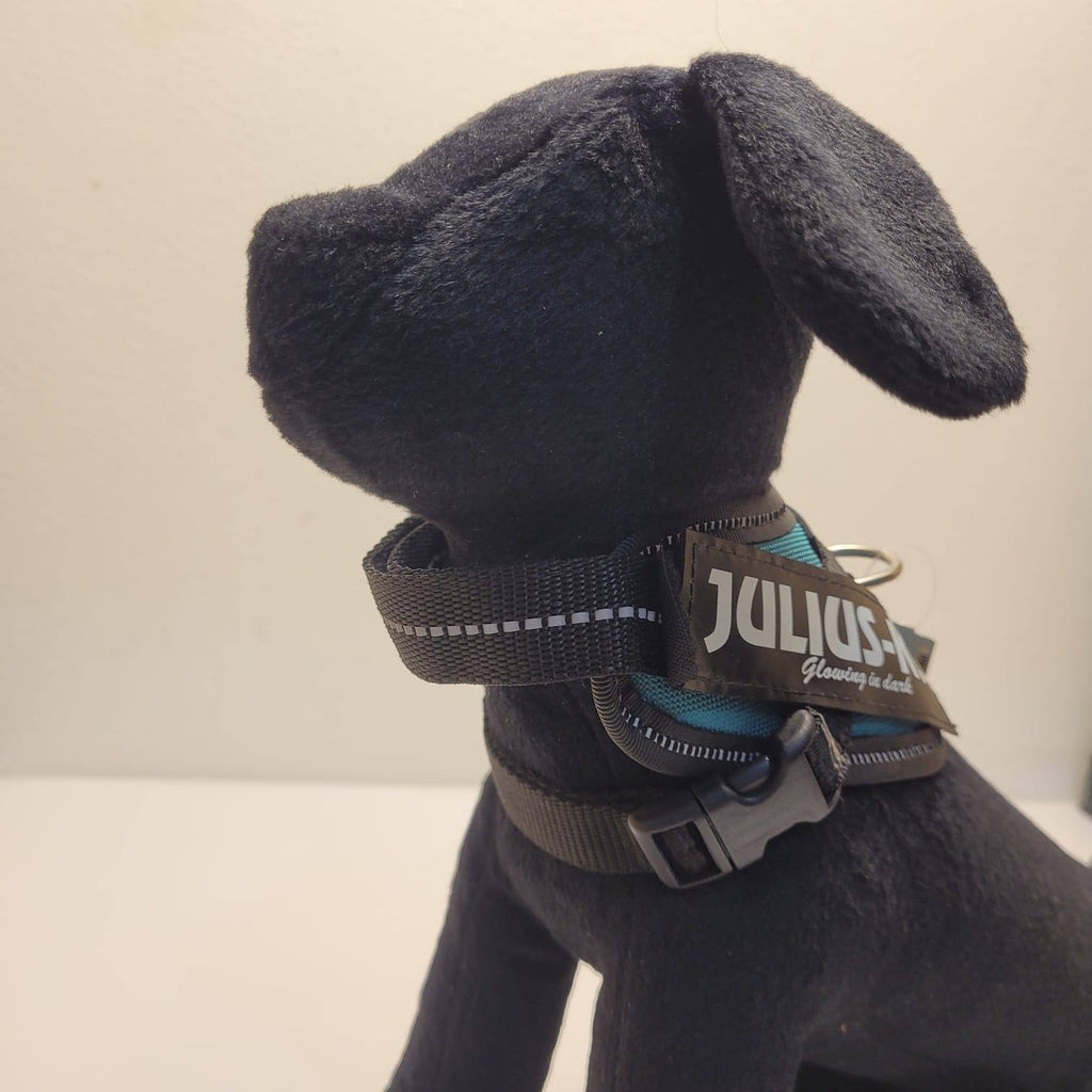 Julius-K9 IDC Powerharness – Teal, Size Baby 1