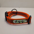 Dogogo Padded Reflective Dog Collar – Orange, 40-55cm