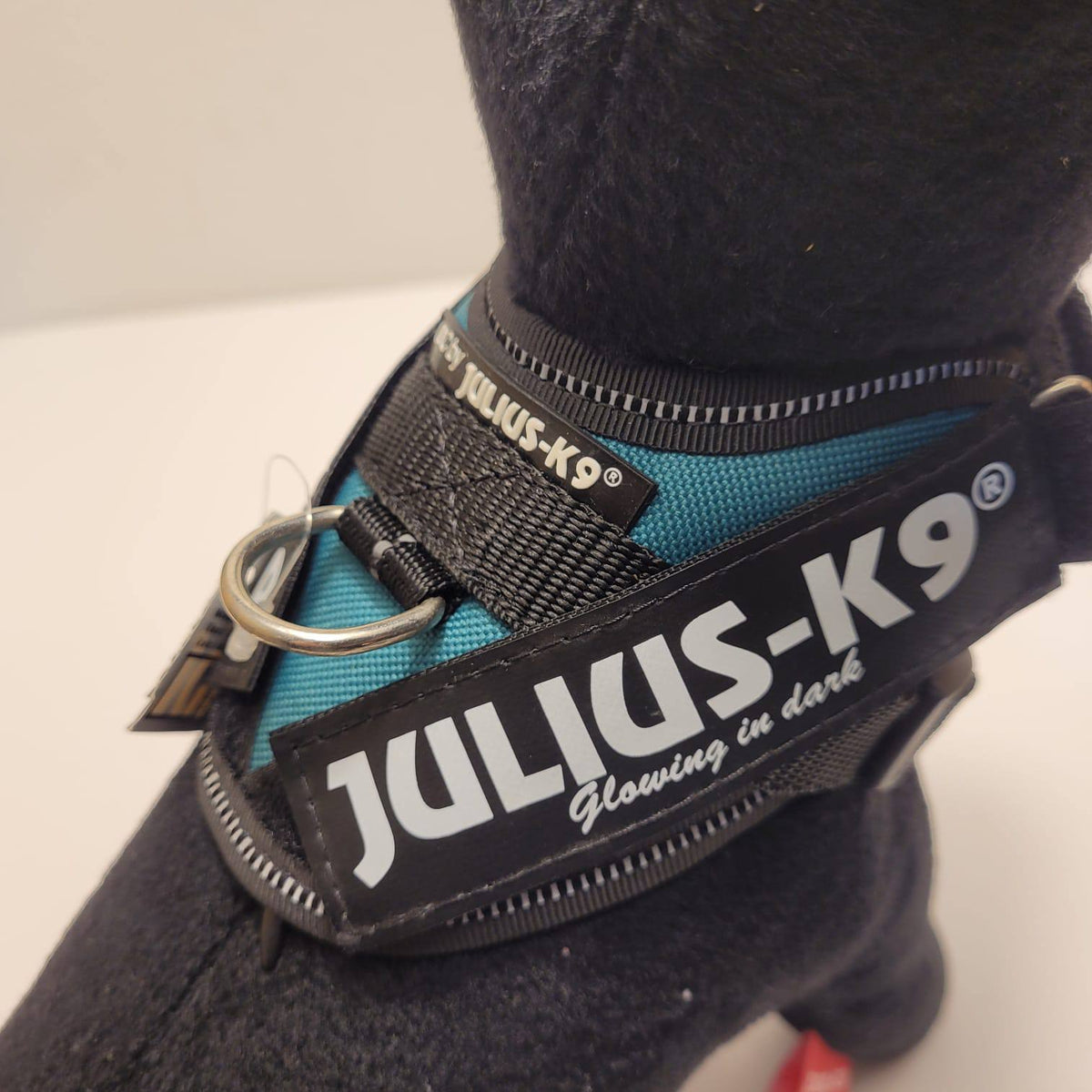 Julius-K9 IDC Powerharness – Teal, Size Baby 1