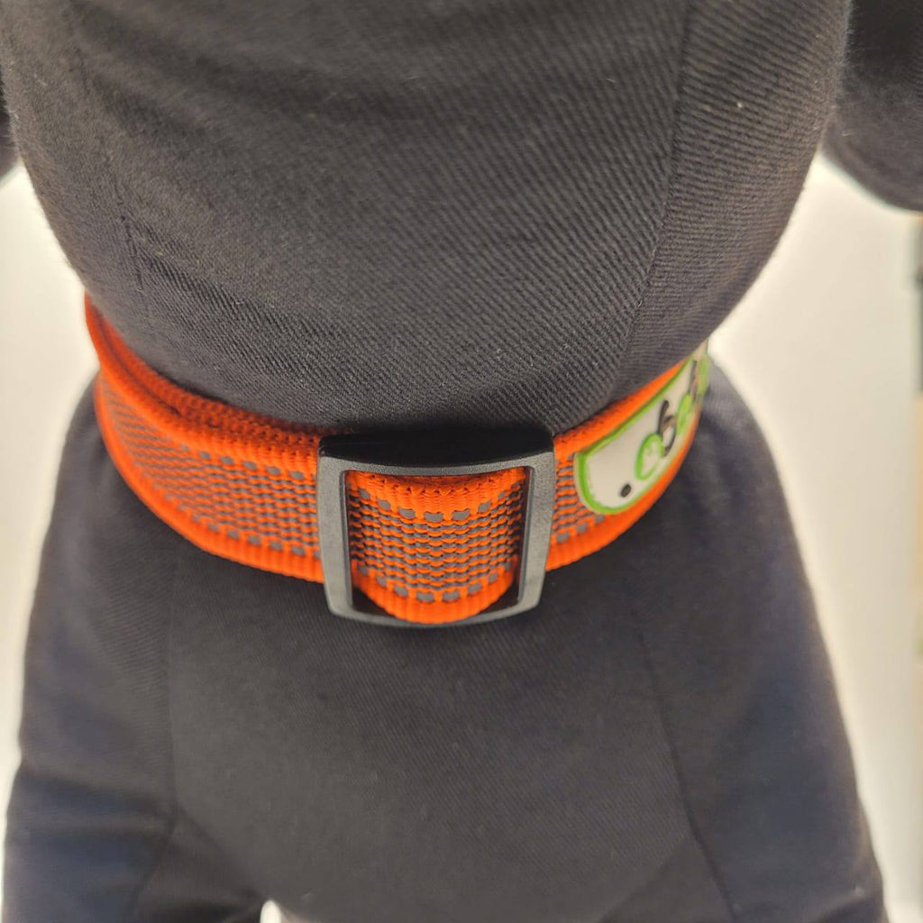 Dogogo Padded Reflective Dog Collar – Orange, 40-55cm