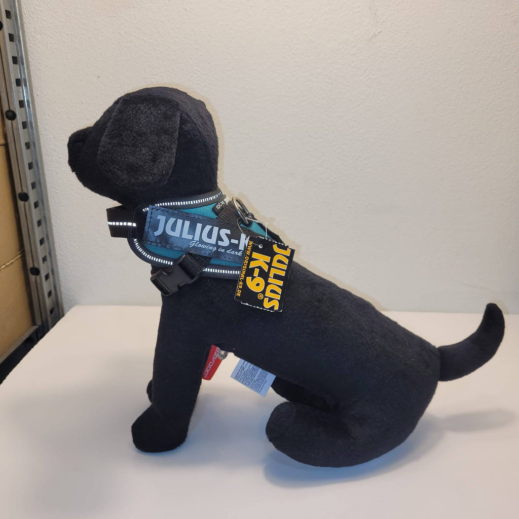 Julius-K9 IDC Powerharness – Teal, Size Baby 1