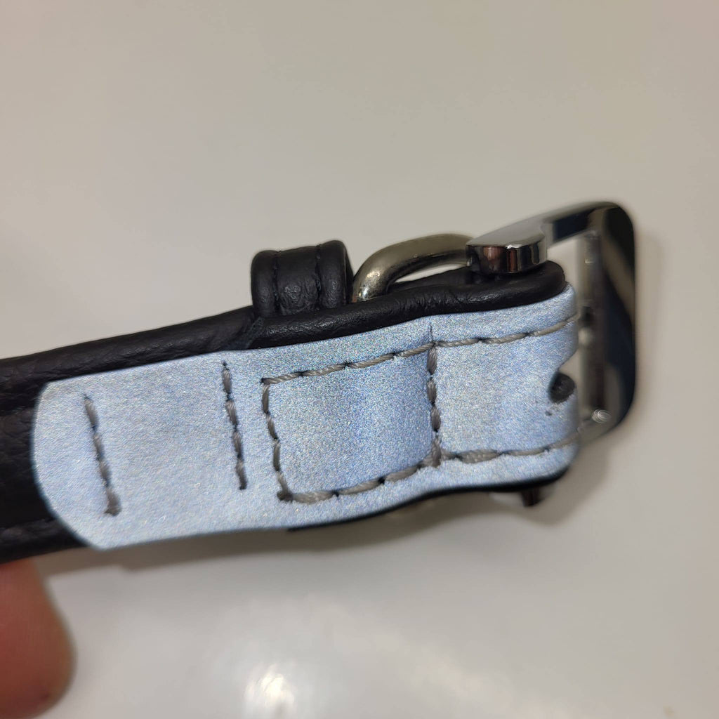 Julius K-9 Metallic Silver Leather Dog Collar