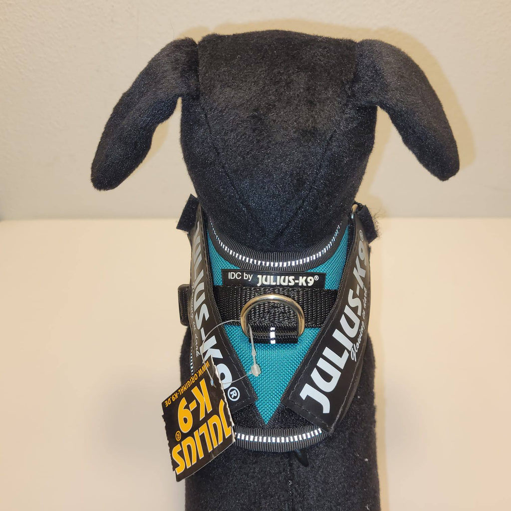 Julius-K9 IDC Powerharness – Teal, Size Baby 1