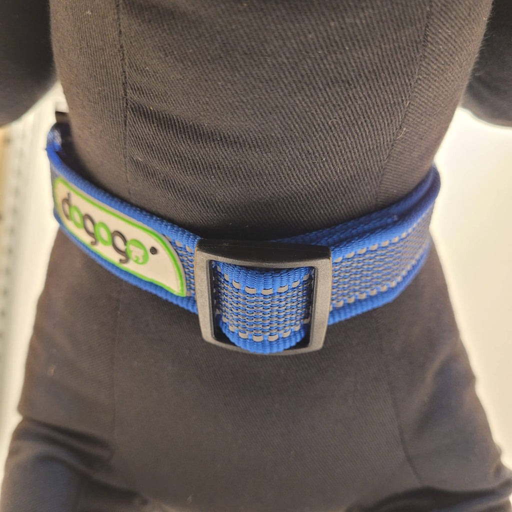 Dogogo Padded Dog Collar – Blue, 50-65cm