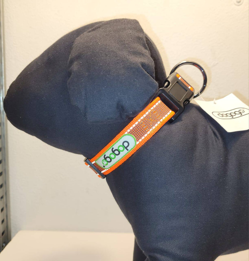 Dogogo Padded Reflective Dog Collar – Orange, 40-55cm