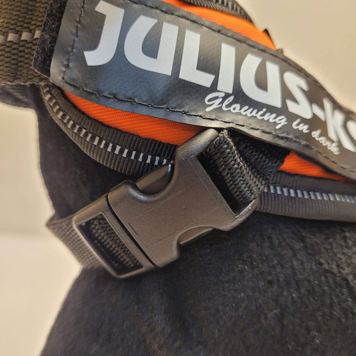 Julius-K9 IDC Powerharness – Orange, Size Baby 1