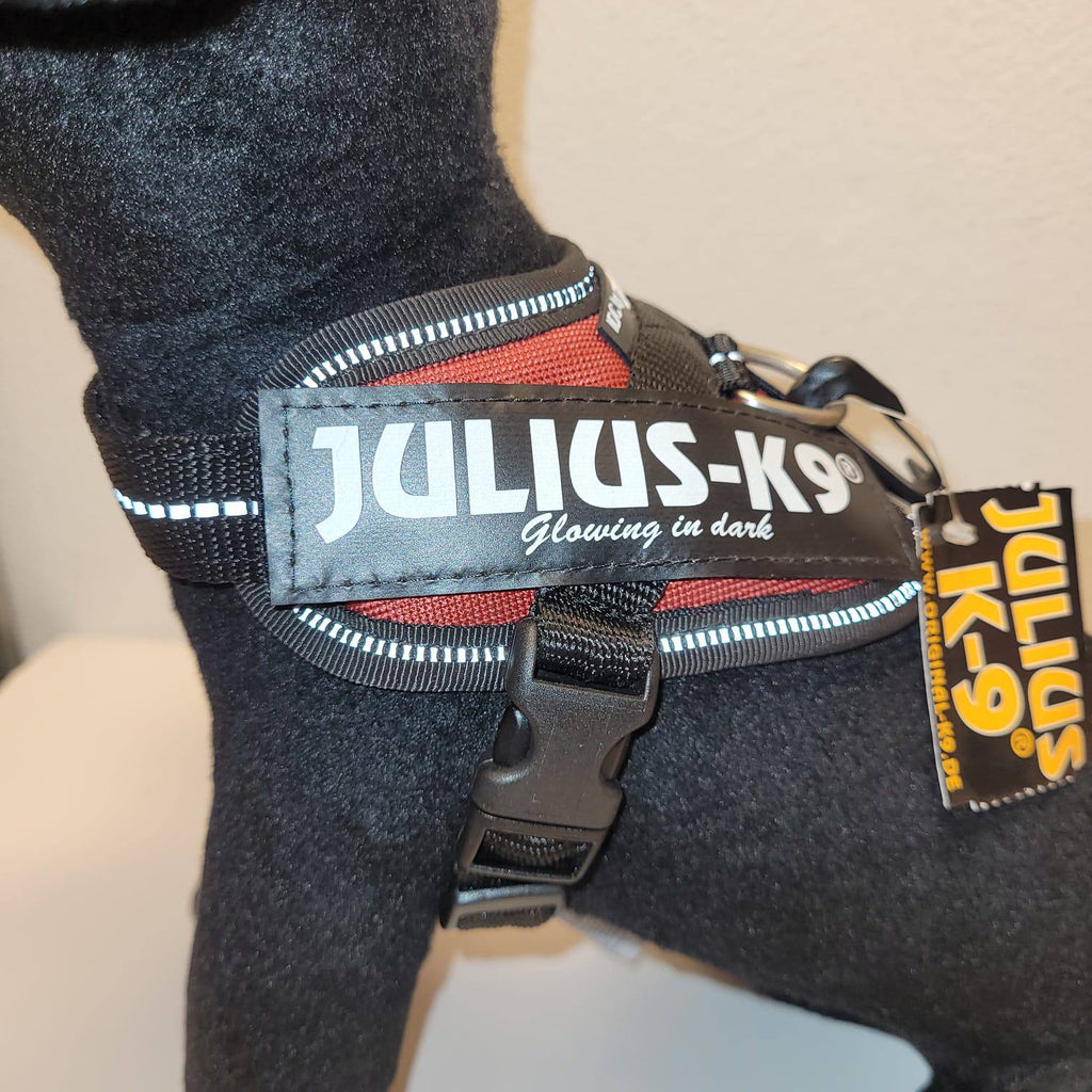 Julius-K9 IDC Powerharness Baby 1 – Red Glowing in Dark