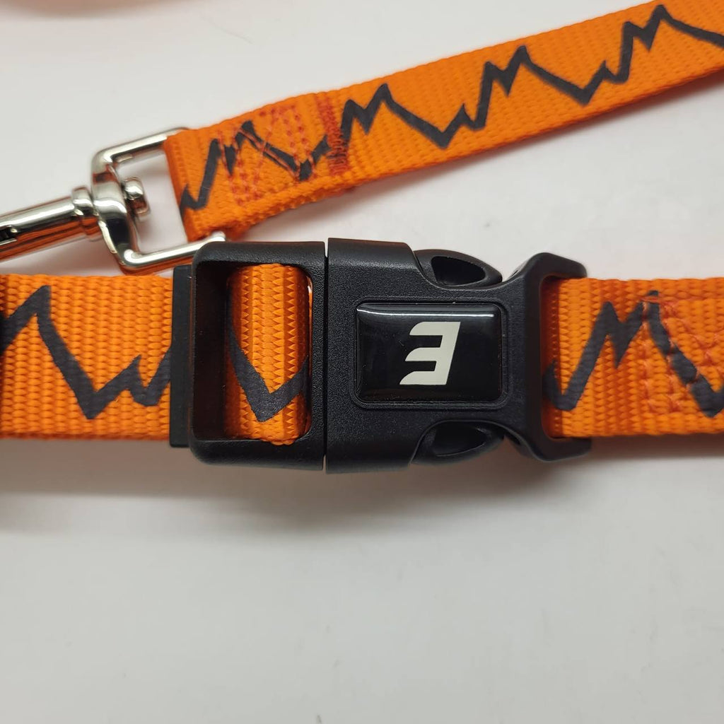 IC3PEAK Orange Mountain Dog Leash & Collar Set