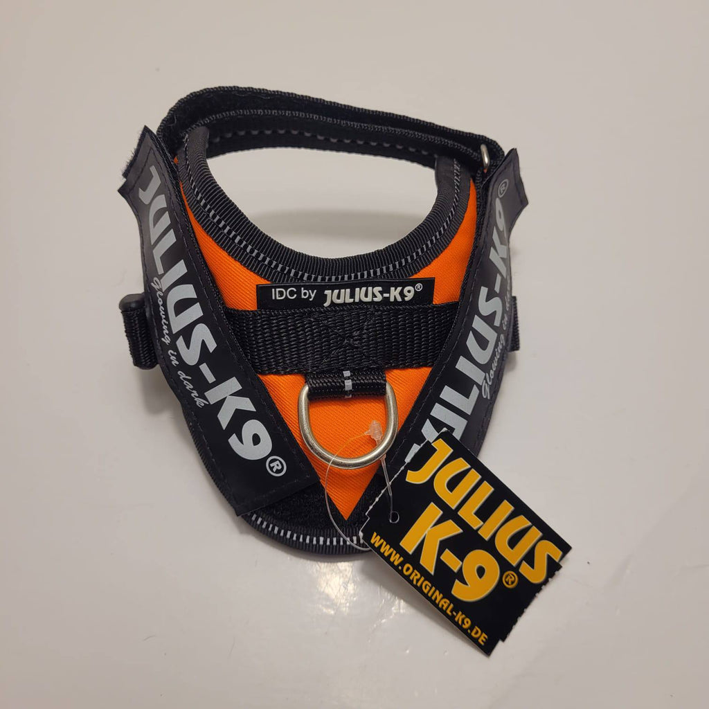 Julius-K9 IDC Powerharness – Orange, Size Baby 1