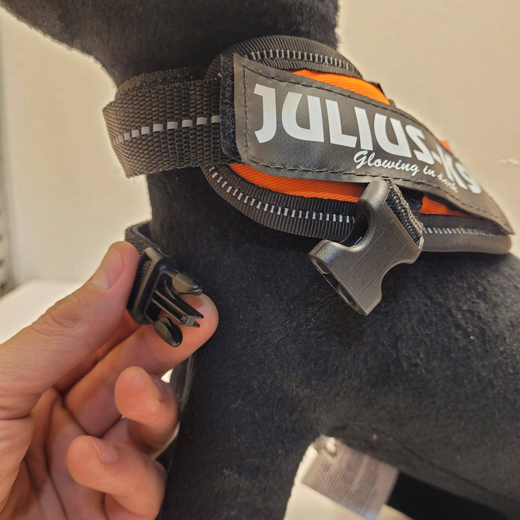 Julius-K9 IDC Powerharness – Orange, Size Baby 1