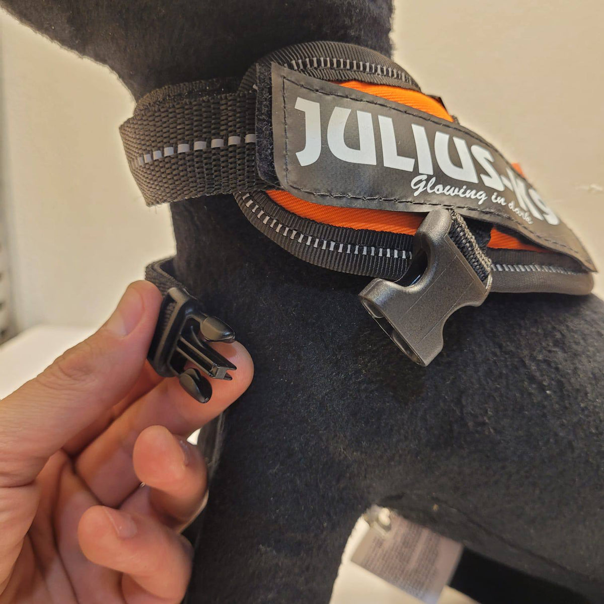 Julius-K9 IDC Powerharness – Orange, Size Baby 1