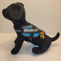 Julius-K9 IDC Powertuig Baby 2 – Blauw Gloeit in het Donker