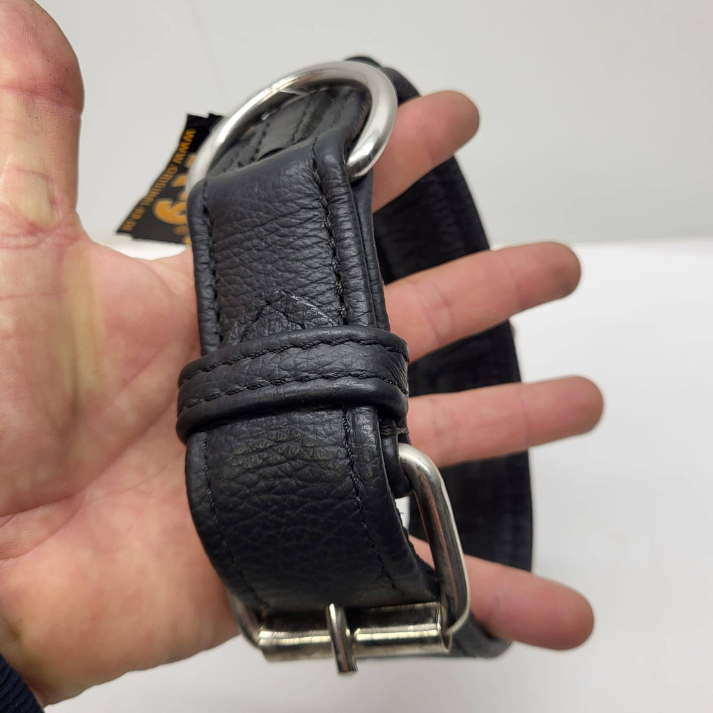 Julius K-9 Padded Leather Dog Collar Black