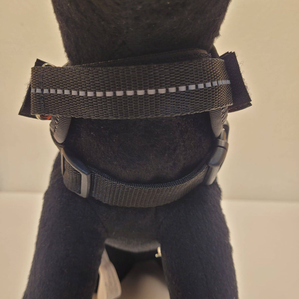 Julius-K9 IDC Powerharness – Orange, Size Baby 1