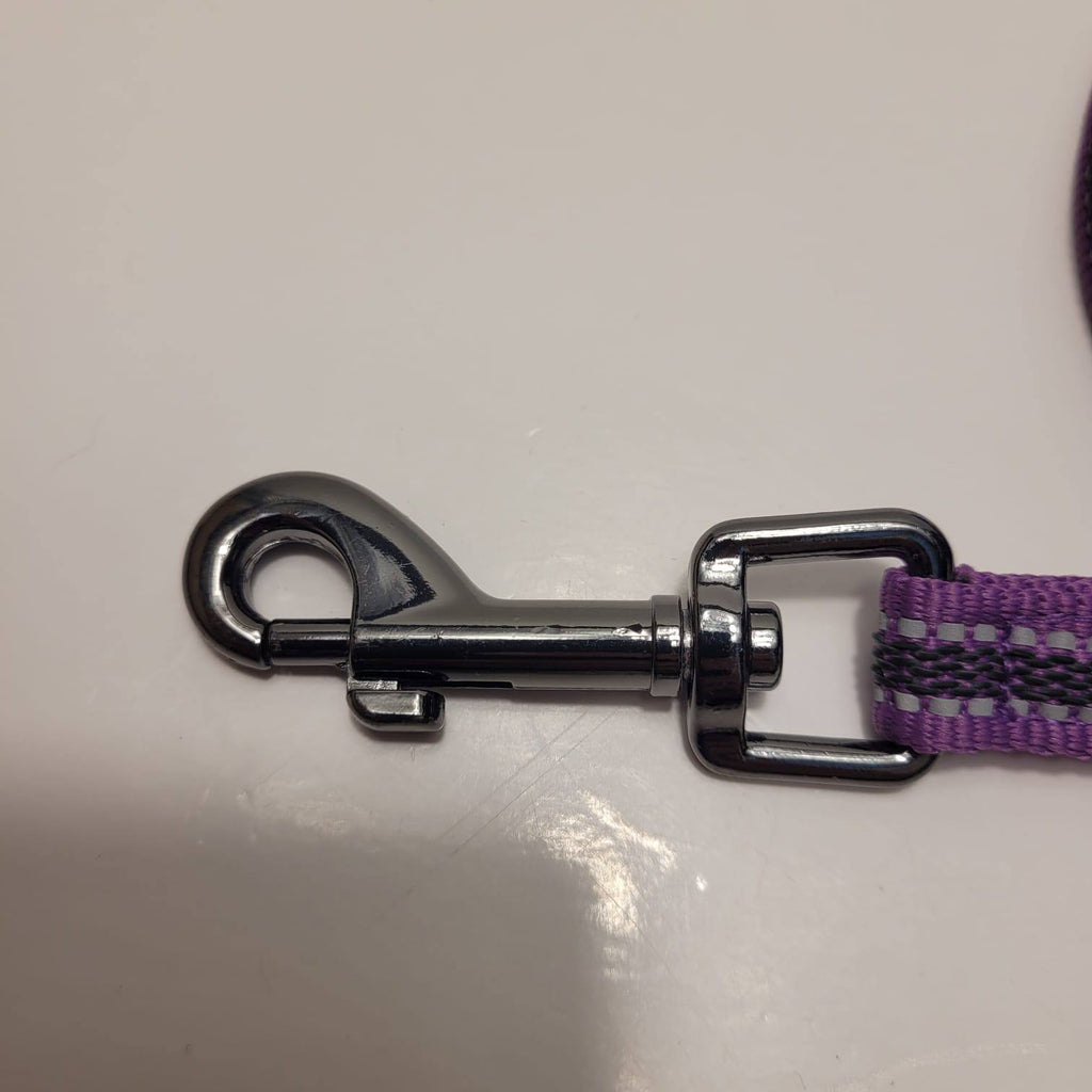 Dogogo Reflective Dog Leash 3m – Purple