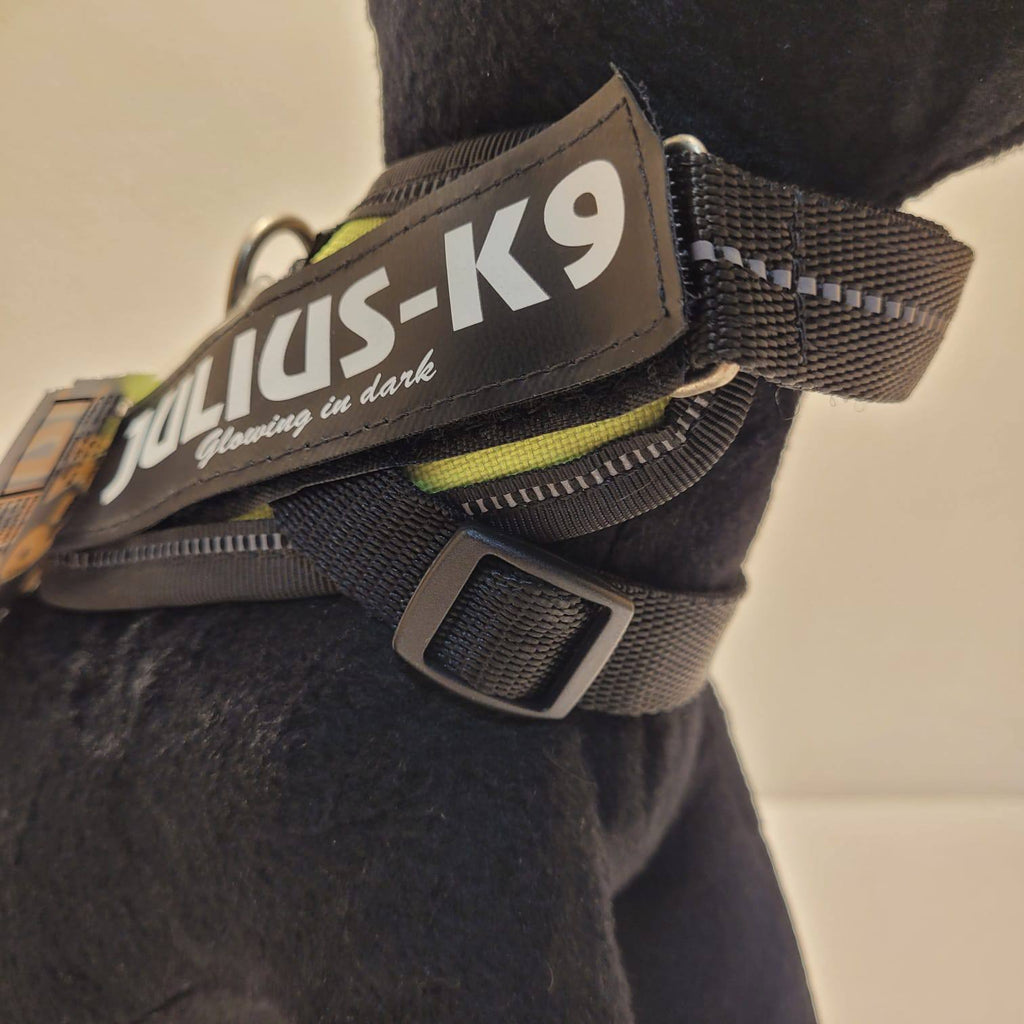 Julius-K9 IDC Powerharness – Lime Green, Size Baby 1