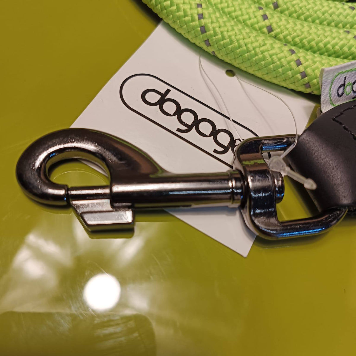 Dogogo Rope Dog Leash 2m – Lime Green