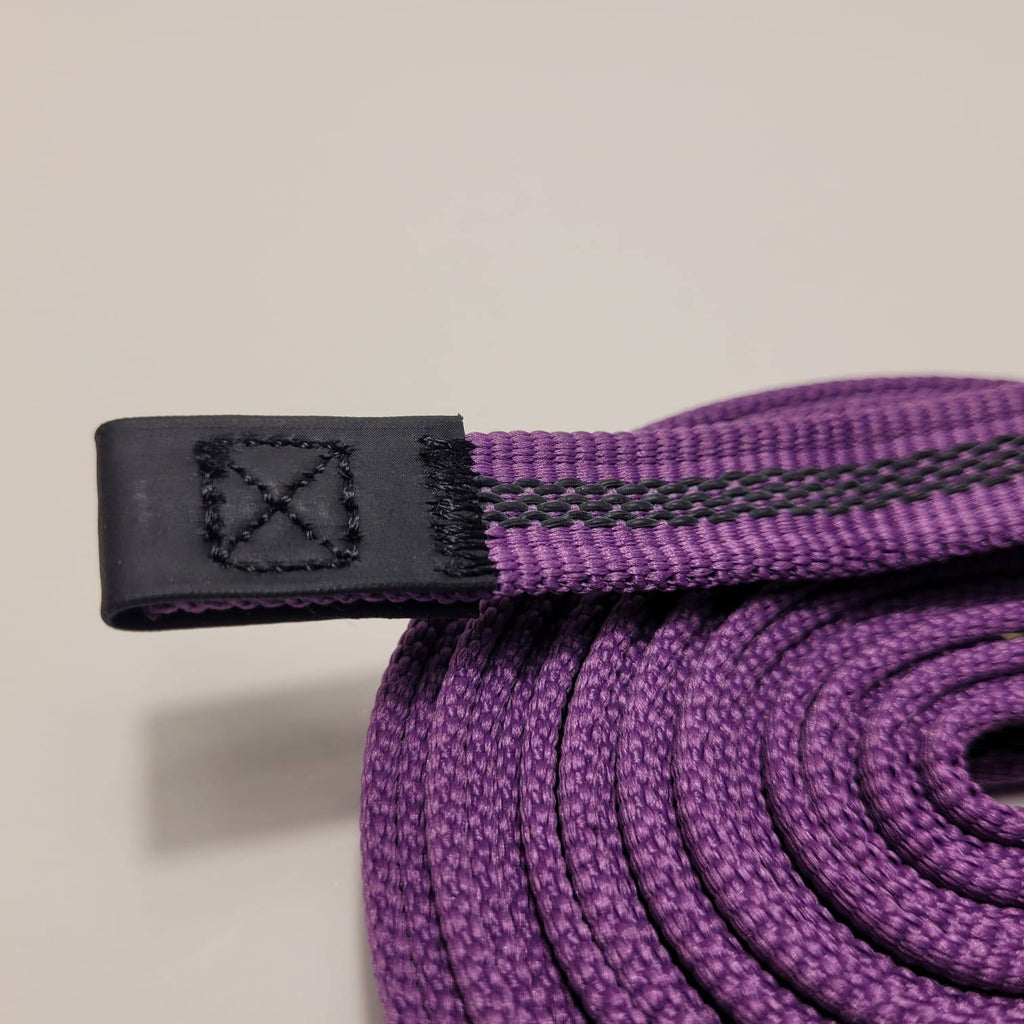 Dogogo Reflective Dog Leash 10m – Purple