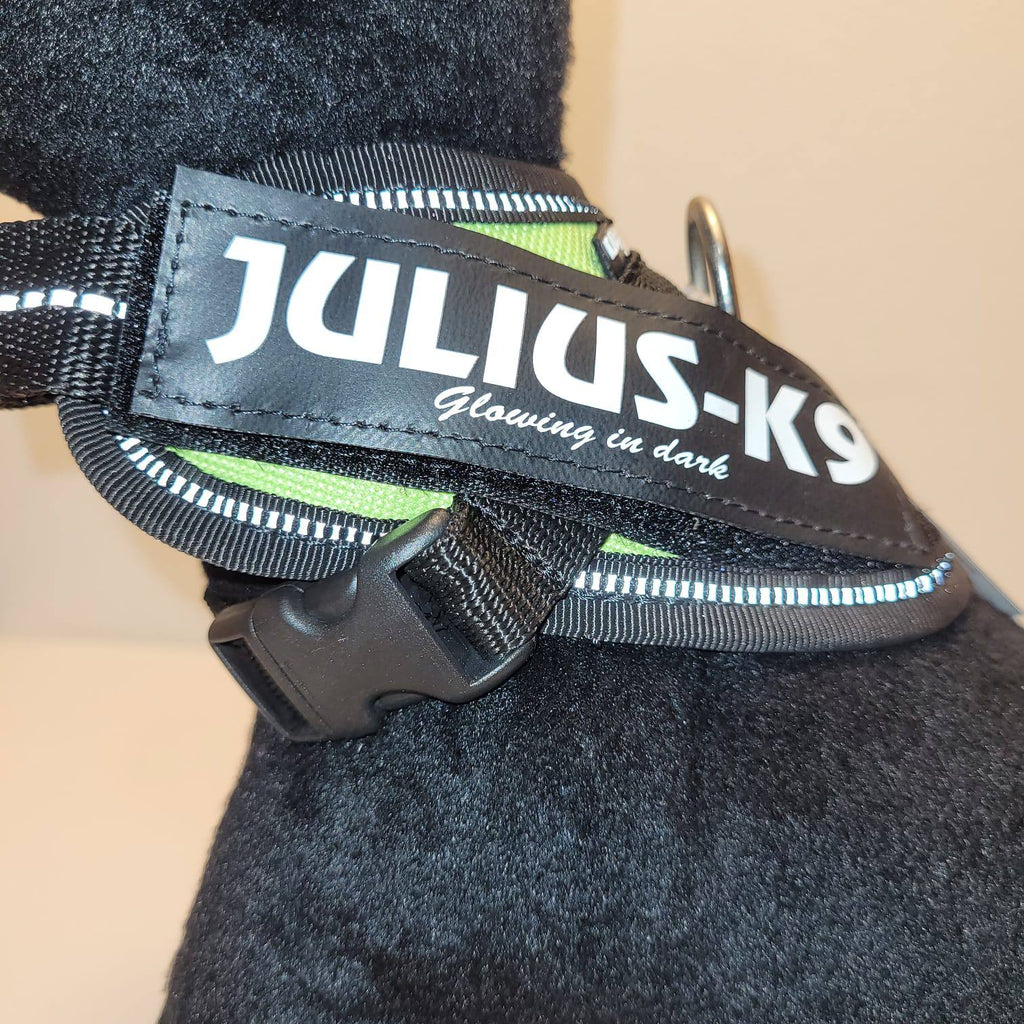 Julius-K9 IDC Powerharness – Lime Green, Size Baby 1