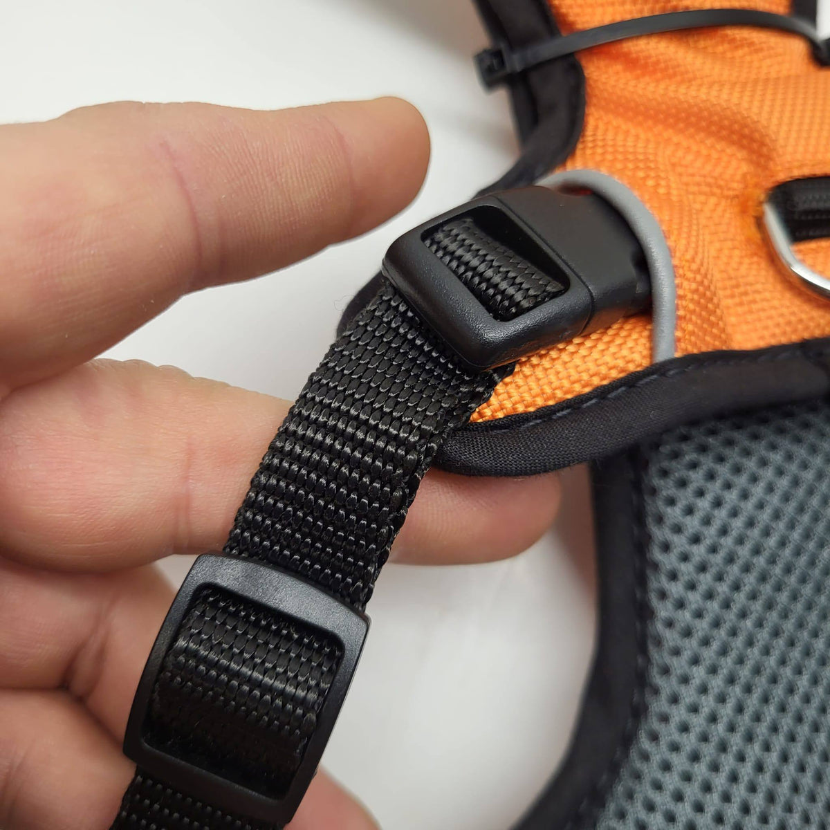 Coneckt Runner Harness Orange