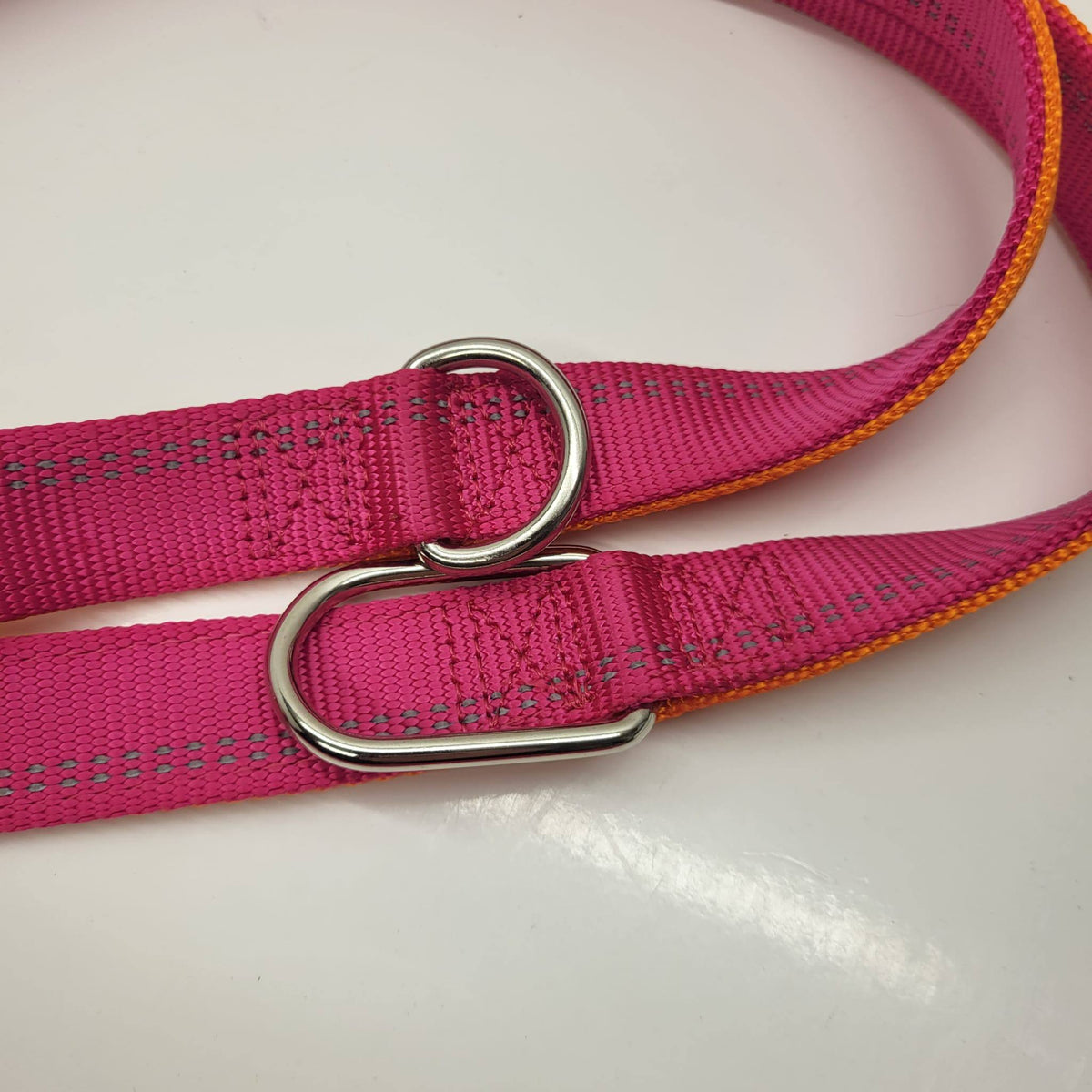 IcePeak Winner Basic Multi Leash