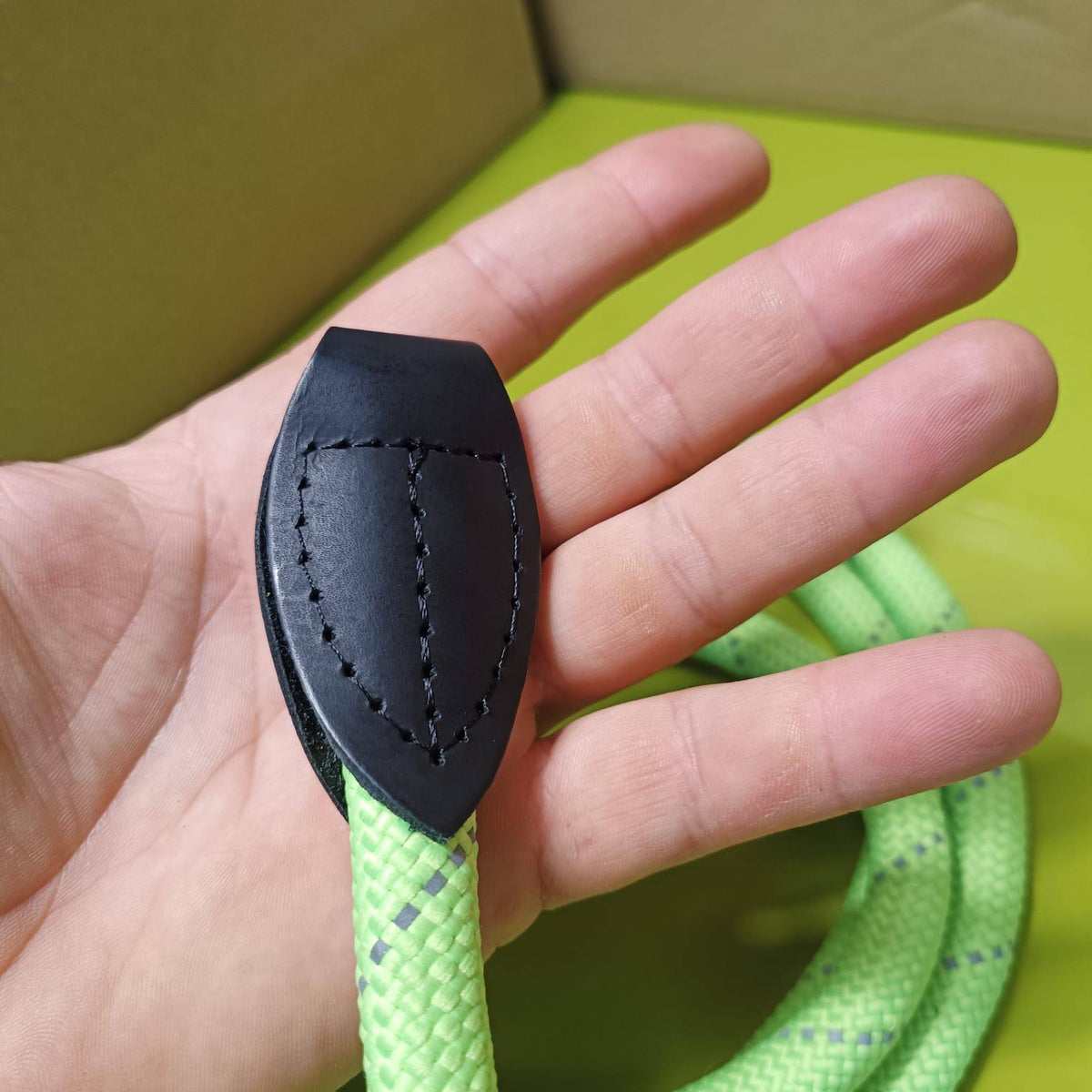 Dogogo Rope Dog Leash 2m – Lime Green