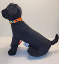 Dogogo Mesh Dog Collar – Orange, 25-35cm