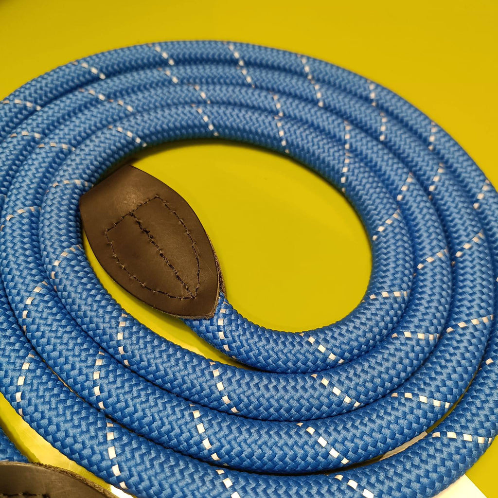 Dogogo Rope Dog Leash 2m – Blue