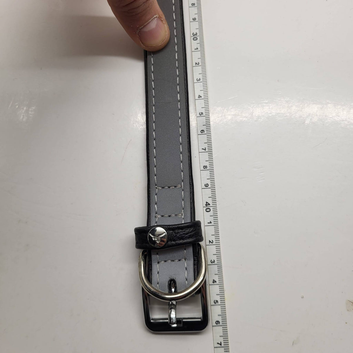 Julius K-9 Metallic Silver Leather Dog Collar